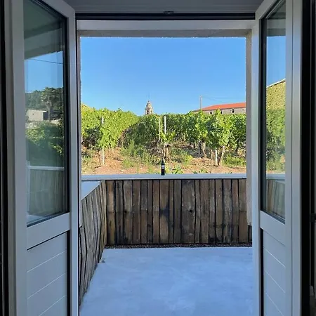Appartement Cepas Da Cuenga à Ribadavia Extérieur photo